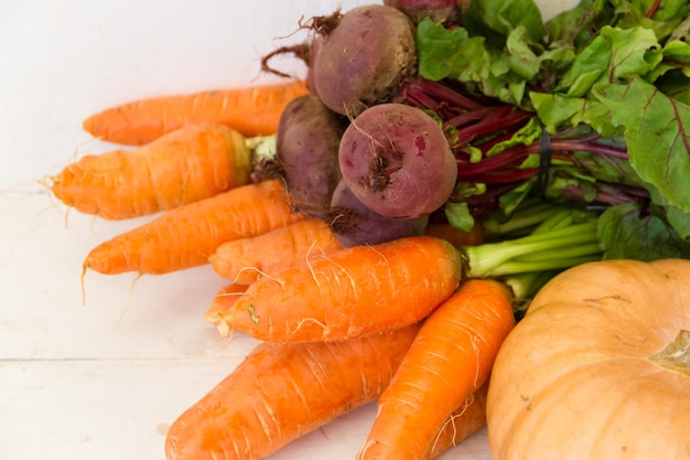 varietà di verdure coltivate nel giardino biologico