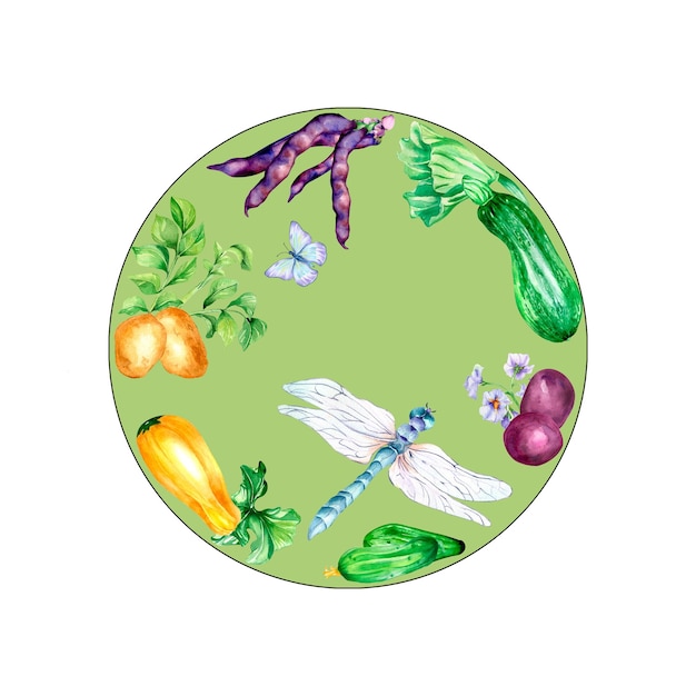Varietà di verdure e illustrazione dell'acquerello della libellula isolata