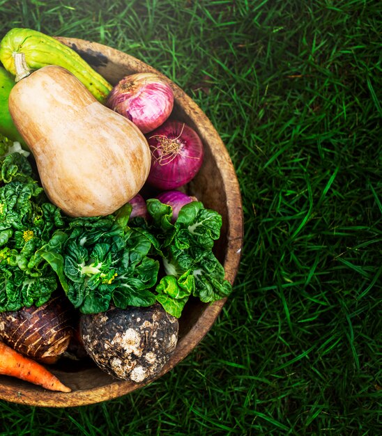 Varietà di verdure fresche biologiche naturali