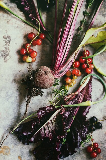 Varietà di verdure giovani