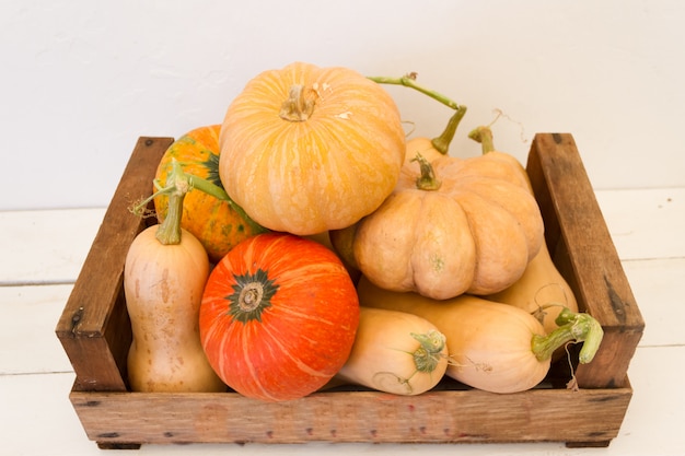 varietà di zucca fresca