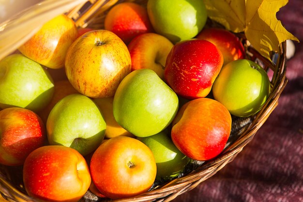 Varietà differenti di mele naturali deliziose fresche in un primo piano del canestro - giallo, verde, rosso. Autunno, festa del raccolto, atmosfera autunnale. Vitamine, rispetto dell'ambiente. Sfondo autunnale