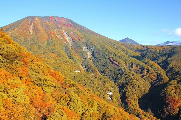 Variopinto della montagna in Autumn Season, Nikko, Giappone.