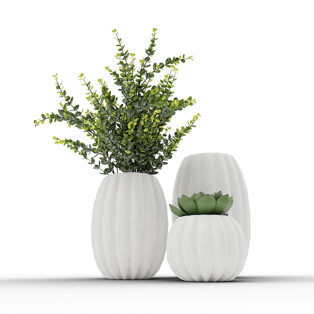 Vasi con piante e piante grasse su uno sfondo bianco illustrazione 3d