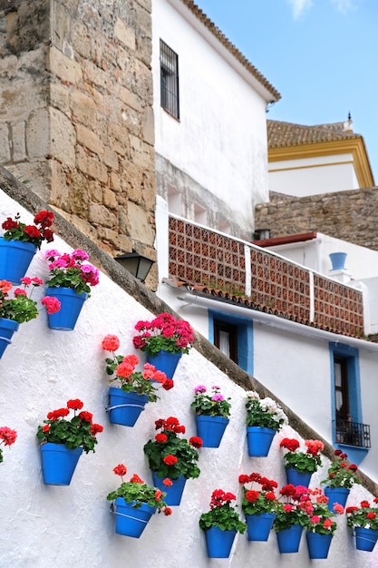 Vasi da fiori che decorano sul muro bianco nella città vecchia di Marbella