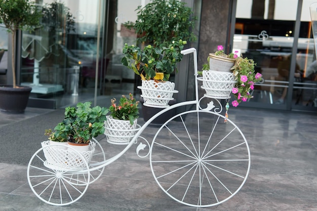 Vasi da fiori su una vecchia bicicletta decorata.