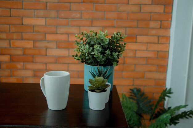 Vasi decorativi per piante sulla scrivania