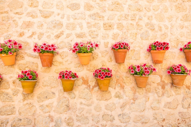 Vasi di fiori sul muro