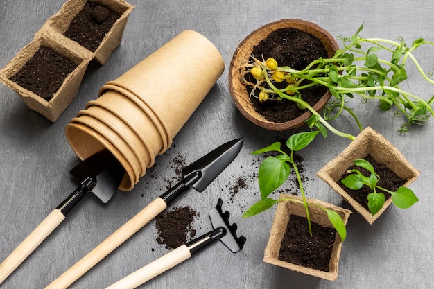 Vasi di torba per attrezzi da giardino con terreno e piantine