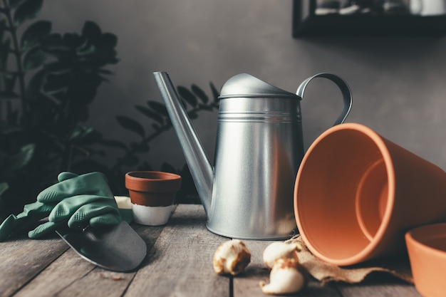 Vasi in ceramica su un vecchio tavolo in legno grigio, bulbi di tulipani, annaffiatoio, guanti verdi e pala da giardino. Foto di alta qualità