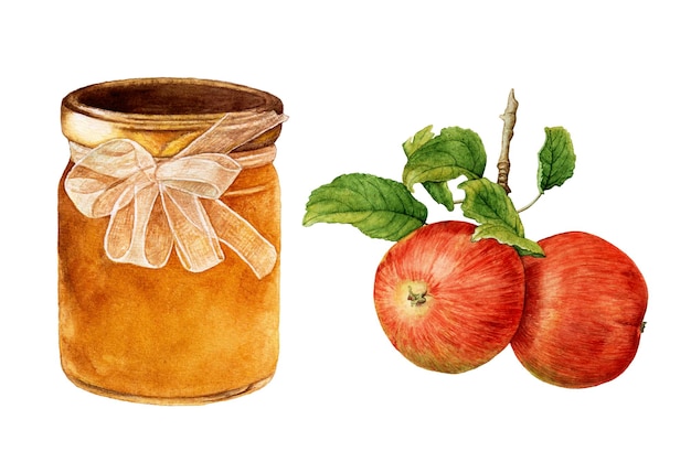 Vaso acquerello di miele, mele rosse con foglie isolate su sfondo bianco.