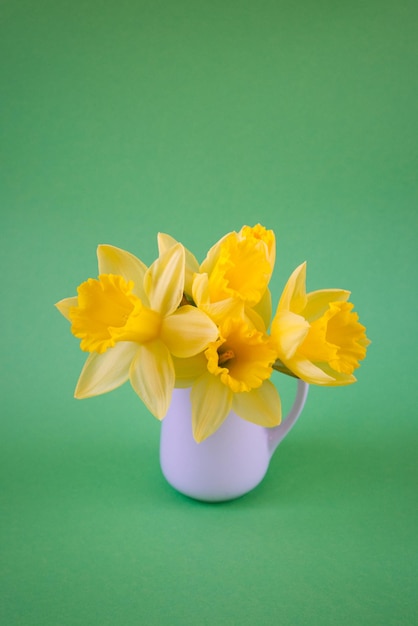 Vaso bianco con narcisi gialli su sfondo verde copia spazio