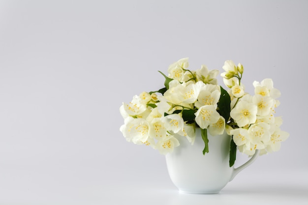 Vaso con fiori di gelsomino