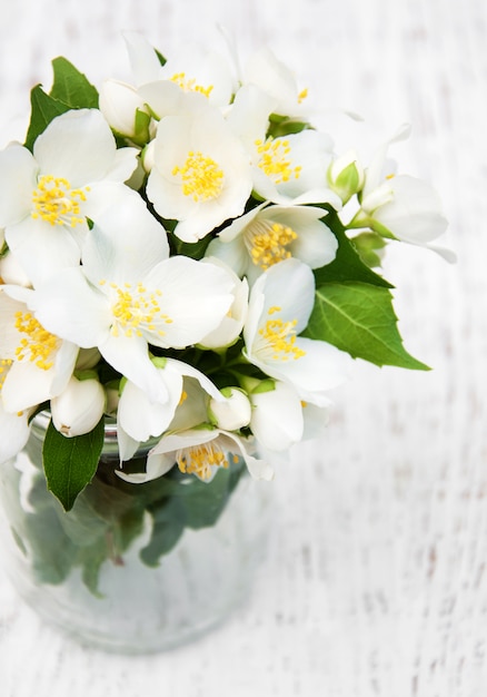 Vaso con fiori di gelsomino