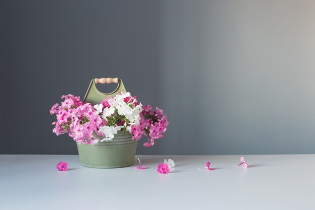 Vaso con fiori rosa su sfondo grigio