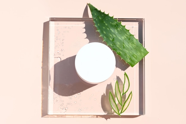 Vaso cosmetico bianco vuoto e aloe vera su un supporto di vetro ai raggi del sole Concetto di cosmetologia o cura della pelle
