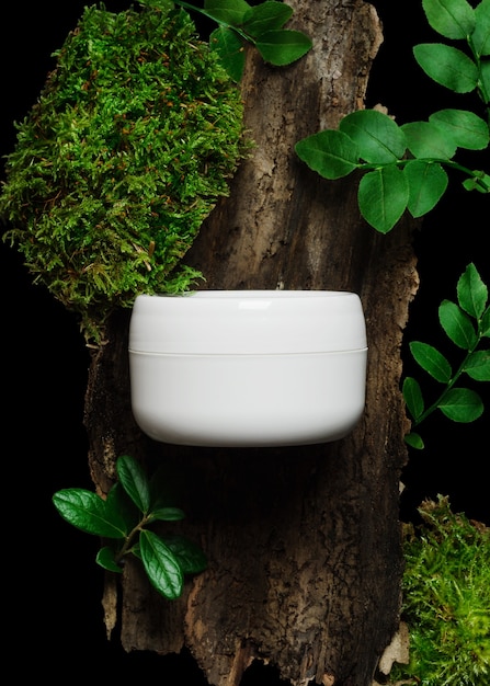 Vaso crema cosmetica sull'albero con foglie