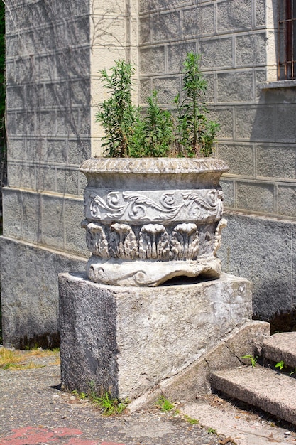 Vaso da fiori in pietra grigia nel parco Vista frontale