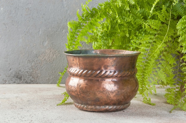 Vaso da fiori in rame antico sul pavimento di cemento