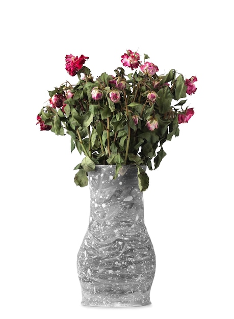 Vaso di argilla con fiori secchi su sfondo bianco