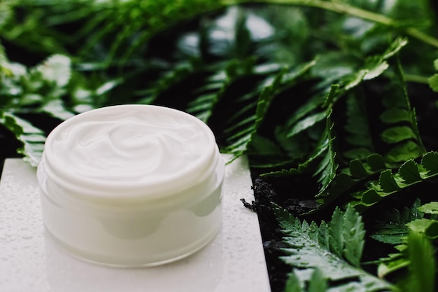 Vaso di crema idratante per il viso in giardino verde cosmetici naturali per la cura della pelle a base di erbe e prodotto antietà biologico per la salute e la bellezza