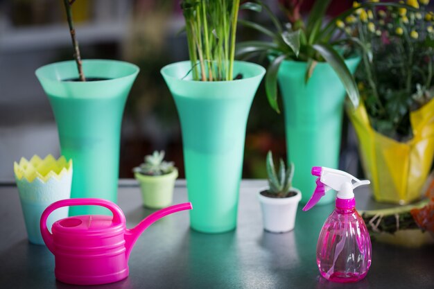 Vaso di fiori, annaffiatoio, pianta in vaso e bottiglia spray sul tavolo