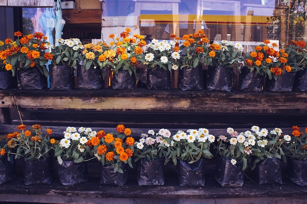 Vaso di fiori davanti alla caffetteria