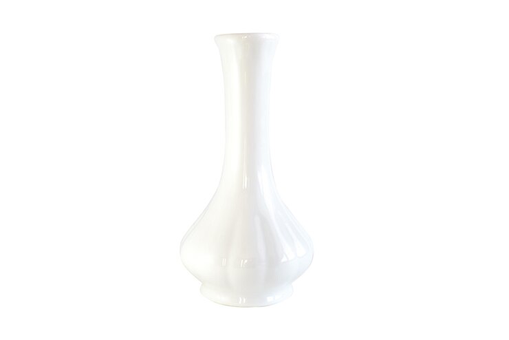 Foto vaso di fiori di porcellana bianca su uno sfondo bianco isolato