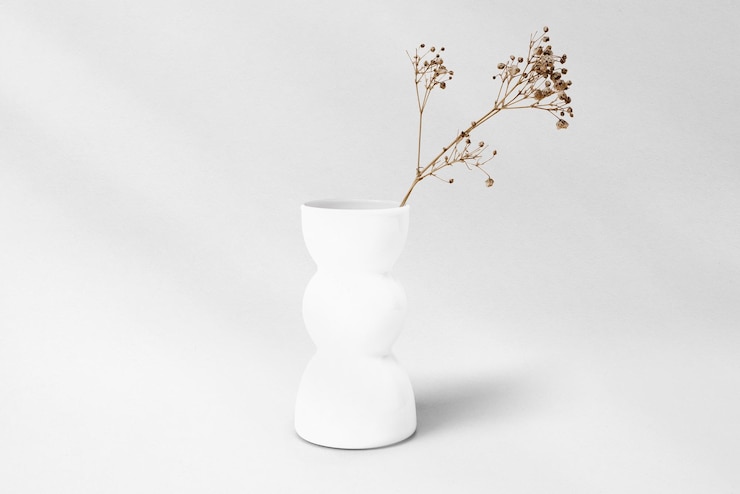 Foto vaso di fiori png modello trasparente