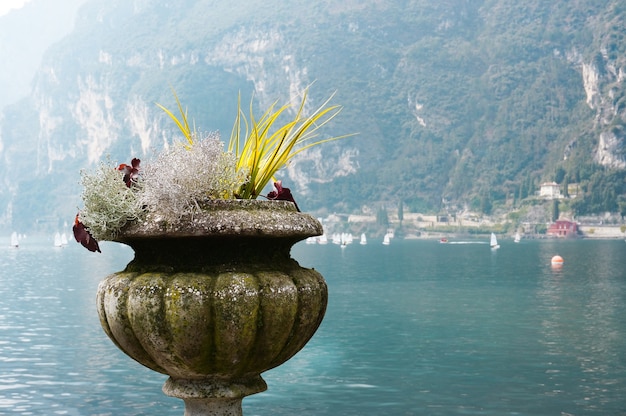 Vaso di fiori sul lungomare