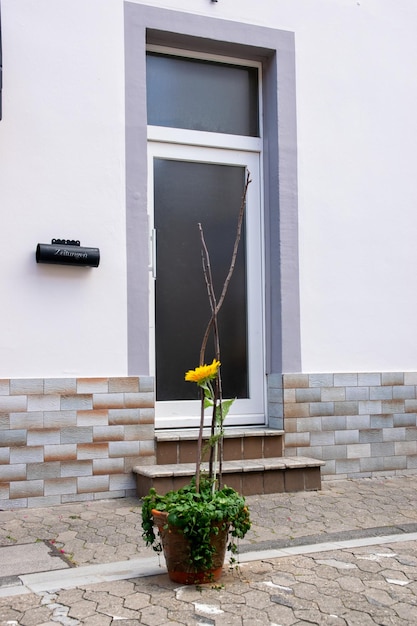 Vaso di fiori sulla strada e porta a vetri