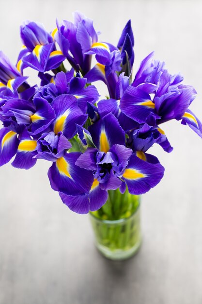 Vaso di fiori viola iris, sullo sfondo.