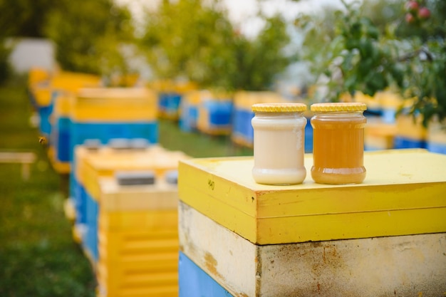 Vaso di miele e alveari sul prato in primavera Apicoltura e produzione di miele Alimenti naturali sani e biologici Alimenti dolci