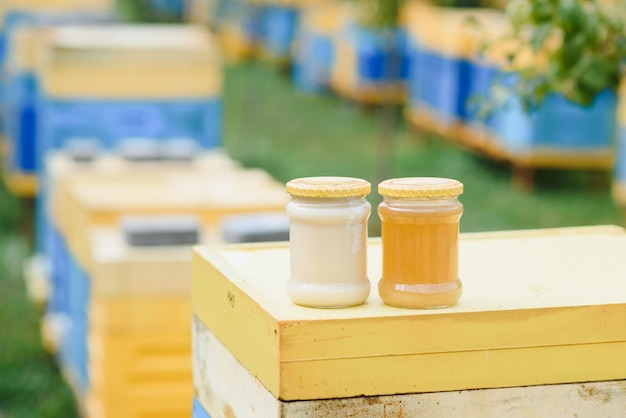 Vaso di miele fresco in un barattolo di vetro Concetto di apicoltura Vista dall'alto Spazio di copia