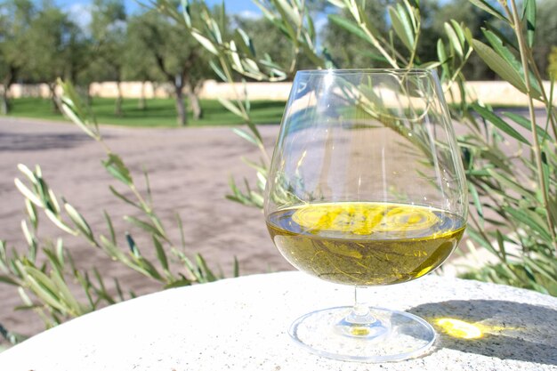 Vaso di olio d'oliva extra vergine su una vecchia pietra di mulino bianca con alberi d'olivo sullo sfondo