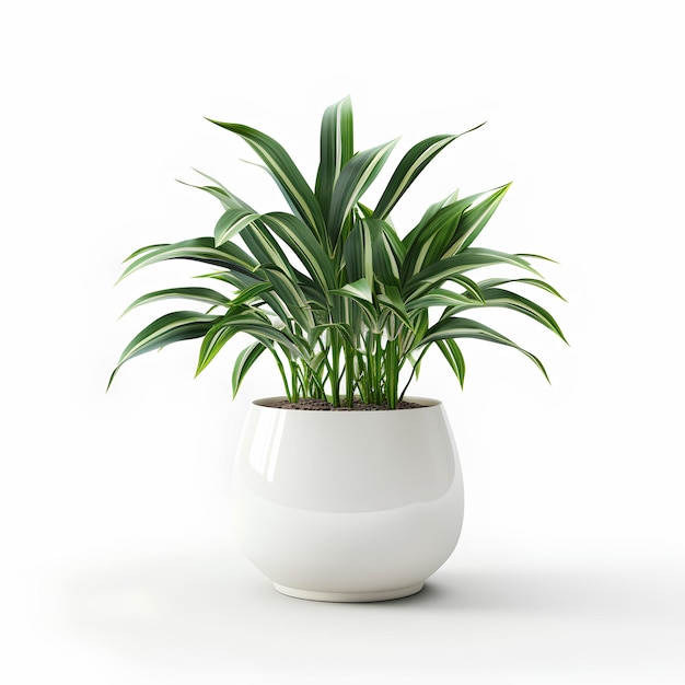 Vaso di piante bianche di qualità con piante