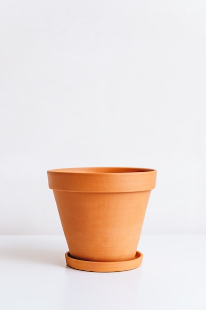 Vaso di terracotta per piante domestiche isolato sul muro bianco.