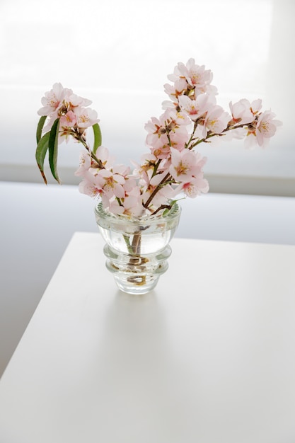 Vaso di vetro con fiori di mandorla su uno sfondo bianco