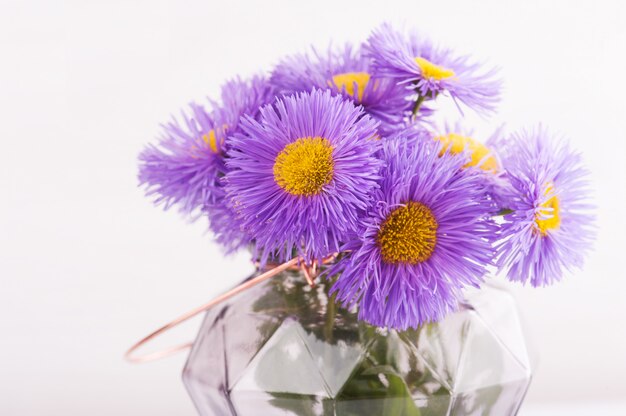 Vaso di vetro e fiori viola