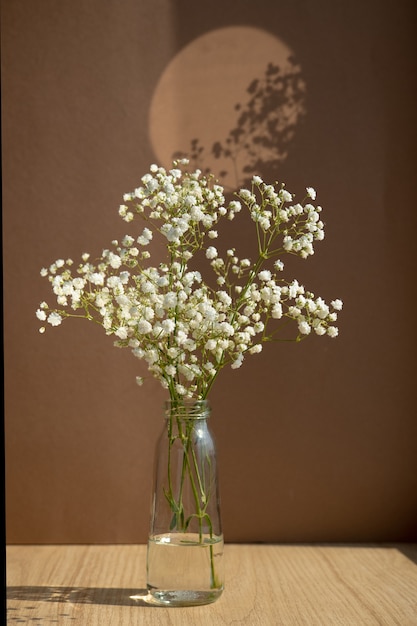 Vaso di vetro minimalista natura morta con fiori secchi bianchi su sfondo marrone elegante minimalista...