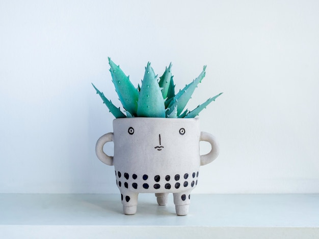 Vaso per piante in ceramica con viso carino con pianta succulenta verde su ripiano in legno bianco isolato su parete bianca. Piccola moderna fioriera in cemento fai da te decorazione alla moda.