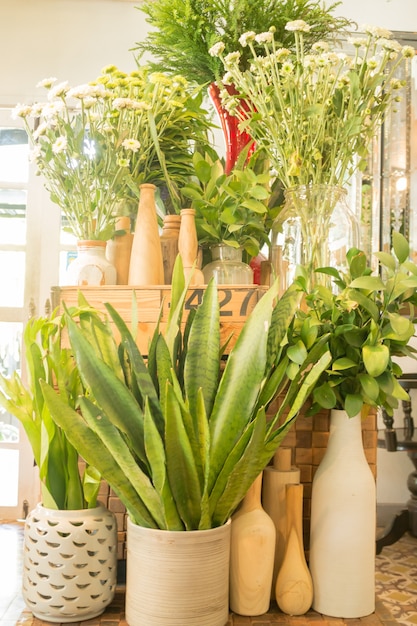 Vaso per piante piccolo visualizzato nel colore vintage della caffetteria