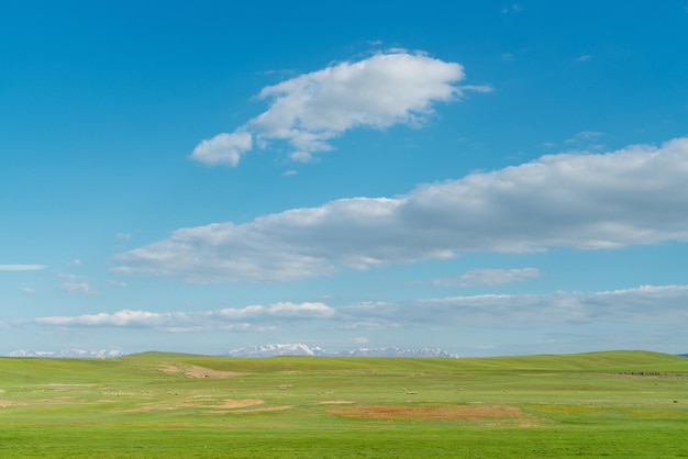 Vaste praterie e montagne innevate Foto nella prateria di Bayinbuluke nello Xinjiang in Cina