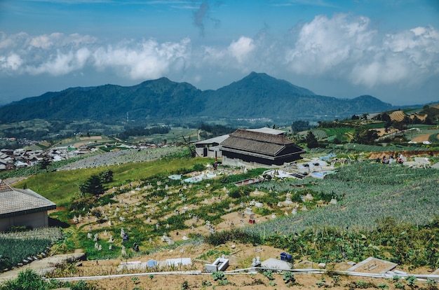 vasti campi di ortaggi sul fianco della montagna