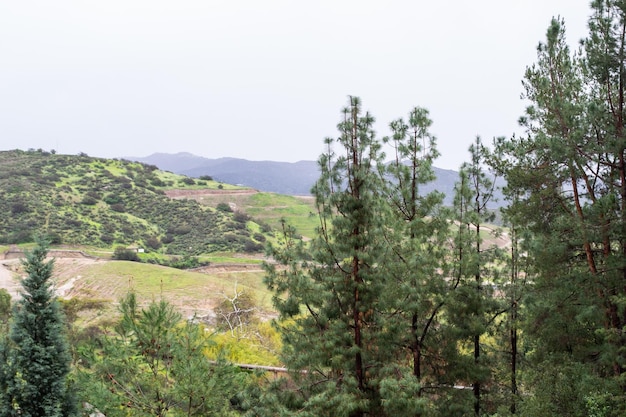 Vasto paesaggio verde alberi montagne nuvoloso piove