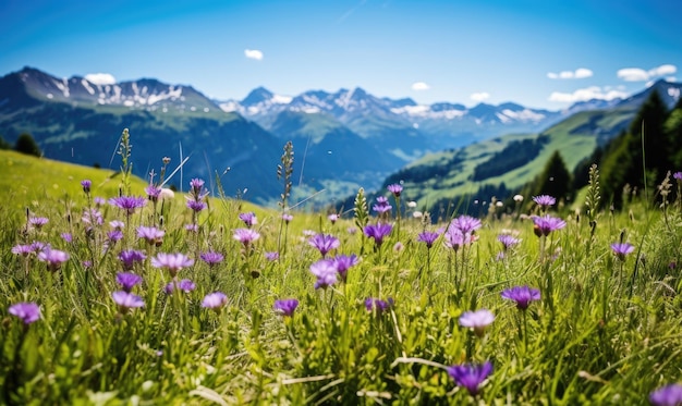 Vasto prato alpino punteggiato da vivaci fiori selvatici con maestose montagne innevate sullo sfondo Un paesaggio naturale sereno e pittoresco Creato con strumenti di intelligenza artificiale generativa