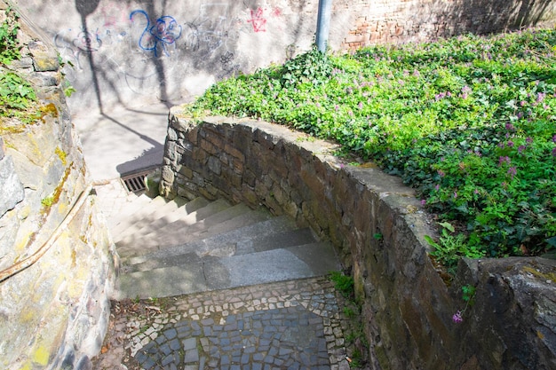 Vecchi gradini di pietra nel parco Periodo estivo