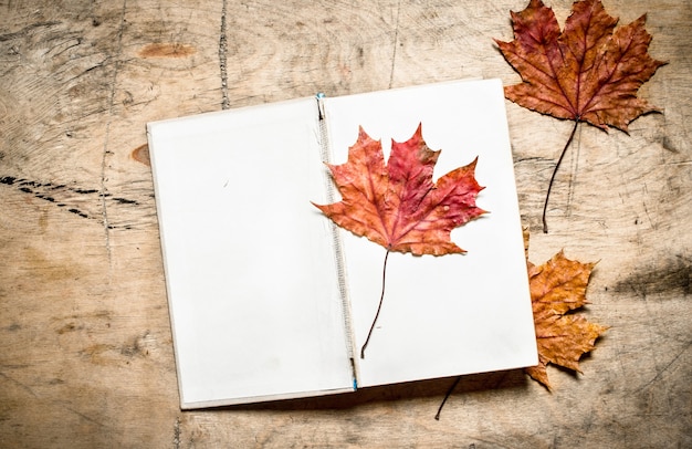 Vecchi libri e foglie d'autunno. Sullo sfondo di legno.