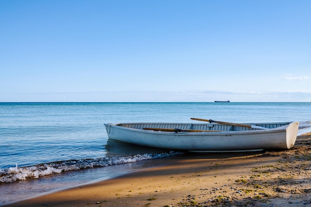 Vecchia barca a remi sulla spiaggia con ombra di alberi Oceano calmo all'orizzonte