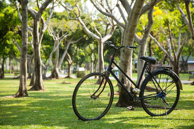 Vecchia bicicletta nel parco.